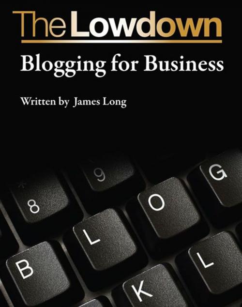 Cover of the book The Lowdown: Blogging for Business by James Long, Creative Content Ltd