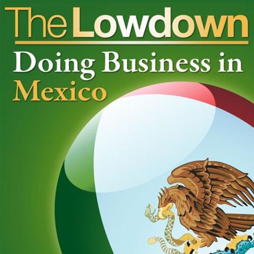 Cover of the book The Lowdown: Doing Business in Mexico by Christopher West, Creative Content Ltd