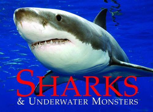 Cover of the book Sharks and Underwater Monsters by Paula Hammond, Amber Books Ltd
