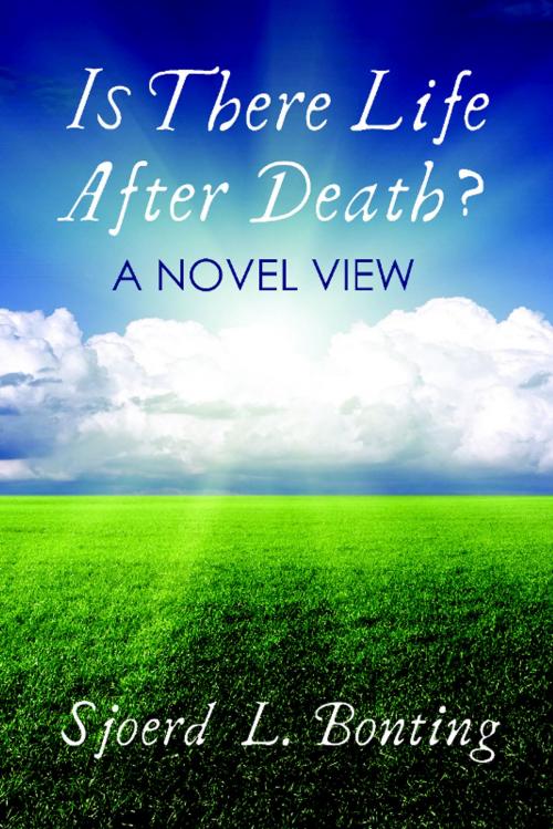 Cover of the book Is There Life After Death? A Novel View by Sjoerd L. Bonting, White Crow Productions Ltd