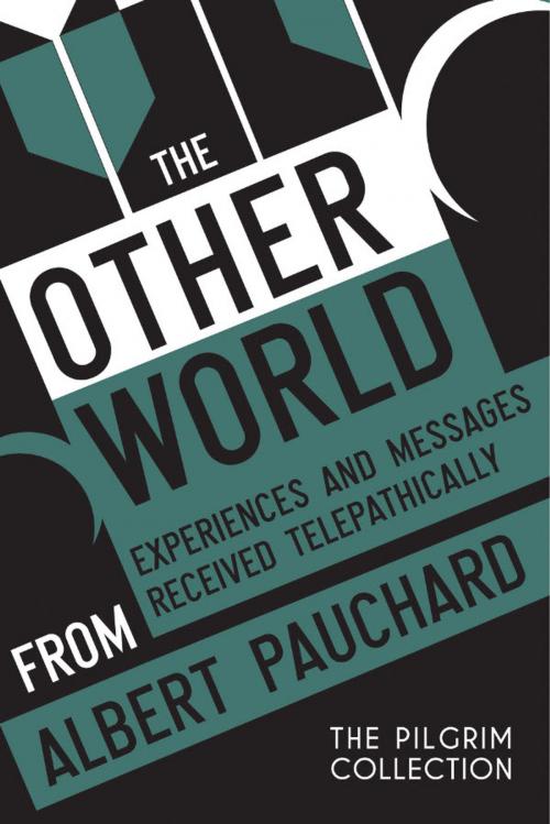 Cover of the book The Other World by Albert Pauchard, White Crow Productions Ltd