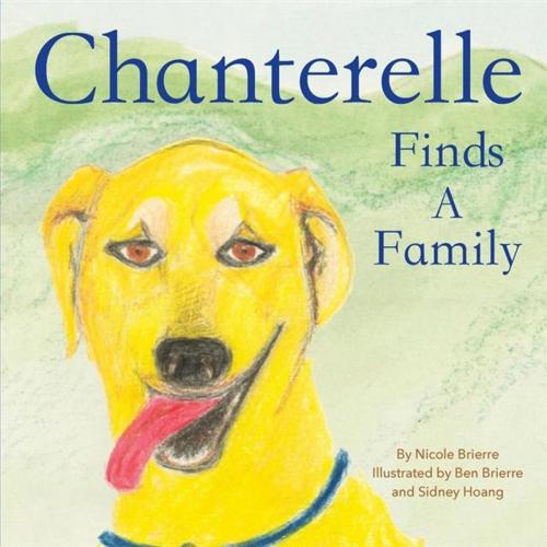 Cover of the book Chanterelle Finds a Family by Nicole Brierre, New Generation Publishing