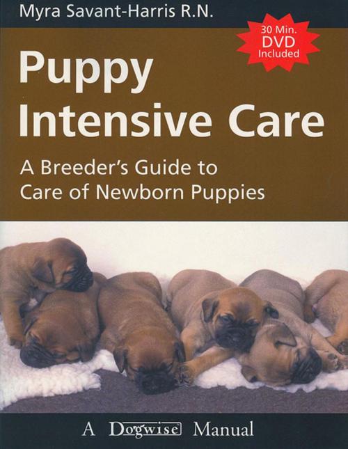 Cover of the book PUPPY INTENSIVE CARE by Myra Savant-Harris, Dogwise Publishing