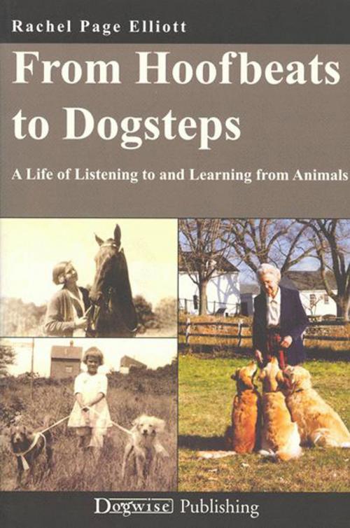 Cover of the book From Hoofbeats To Dogsteps by Rachel Page Elliott, Dogwise Publishing