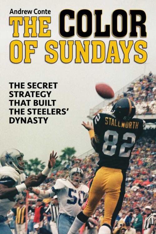 Cover of the book Color of Sundays by Andrew Conte, Blue River Press