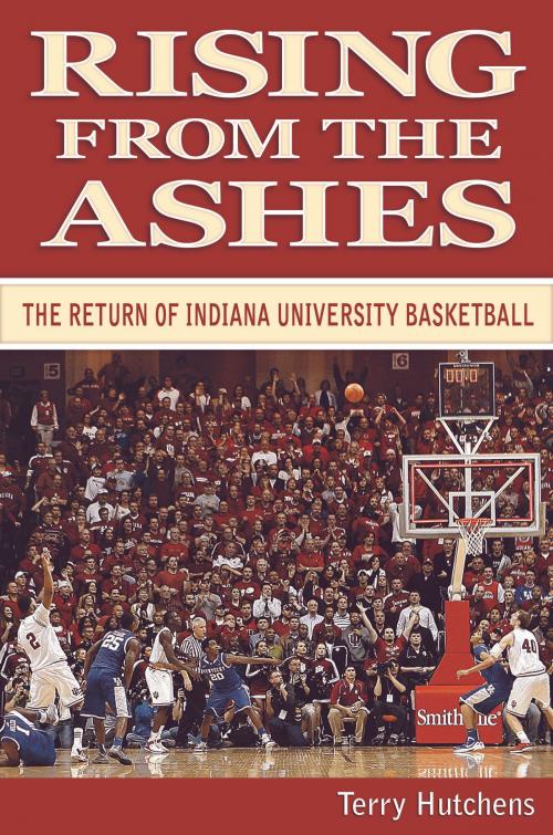 Cover of the book Rising From the Ashes by Terry Hutchens, Blue River Press