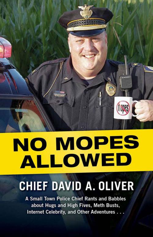 Cover of the book No Mopes Allowed by David Oliver, Gray & Company, Publishers