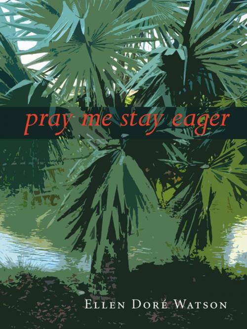 Cover of the book pray me stay eager by Ellen Doré Watson, Alice James Books
