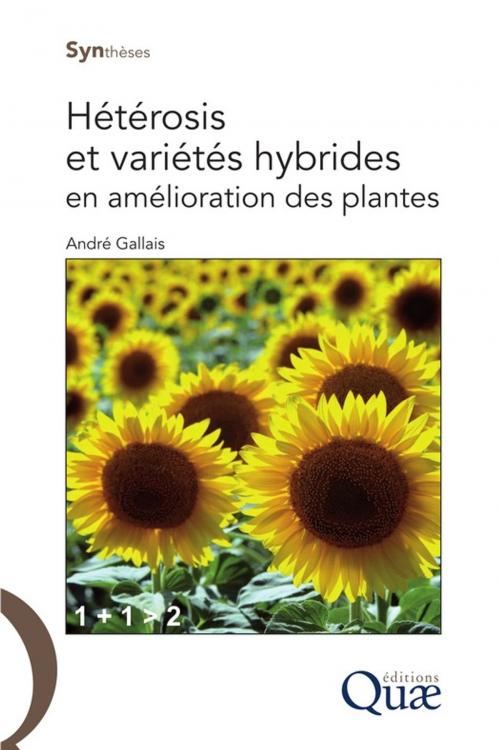 Cover of the book Hétérosis et variétés hybrides en amélioration des plantes by André Gallais, Quae