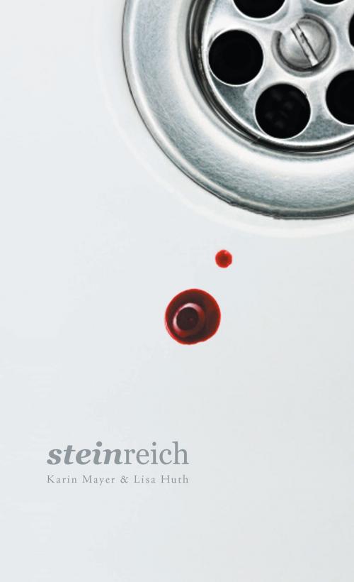 Cover of the book Steinreich by Karin Mayer, Lisa Huth, Editions Schortgen
