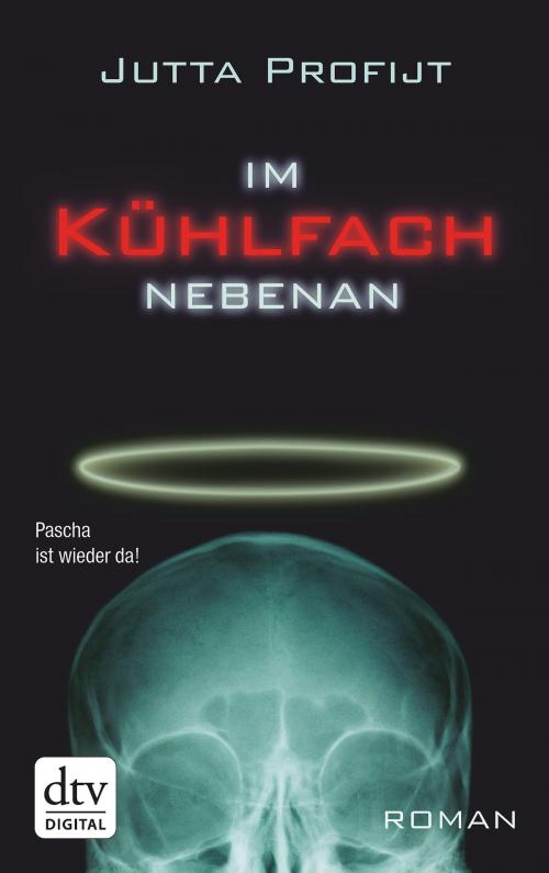 Cover of the book Im Kühlfach nebenan by Jutta Profijt, dtv Verlagsgesellschaft mbH & Co. KG