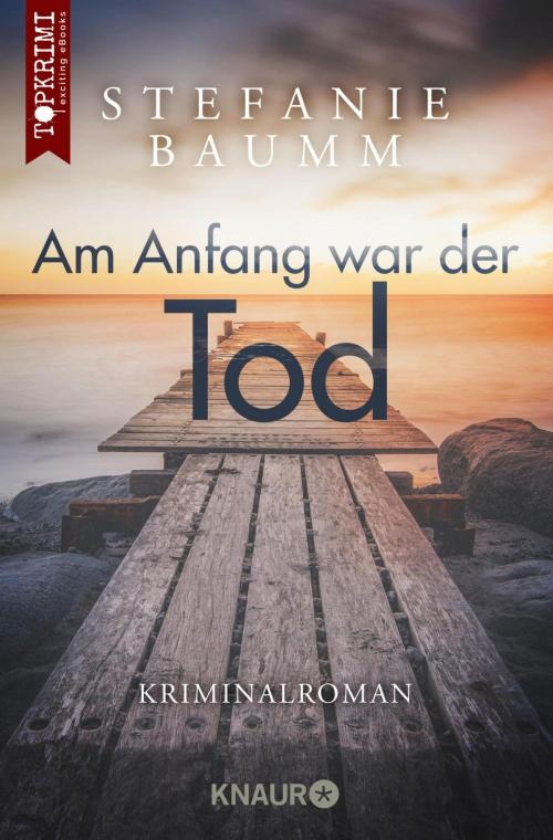 Cover of the book Am Anfang war der Tod by Stefanie Baumm, Knaur eBook