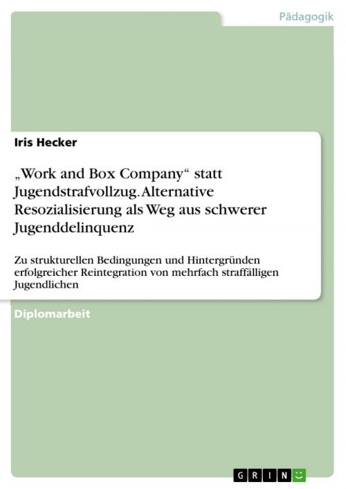 Cover of the book 'Work and Box Company' statt Jugendstrafvollzug. Alternative Resozialisierung als Weg aus schwerer Jugenddelinquenz by Iris Hecker, GRIN Verlag