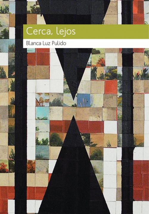 Cover of the book Cerca, lejos by Blanca Luz Pulido, Textofilia Ediciones