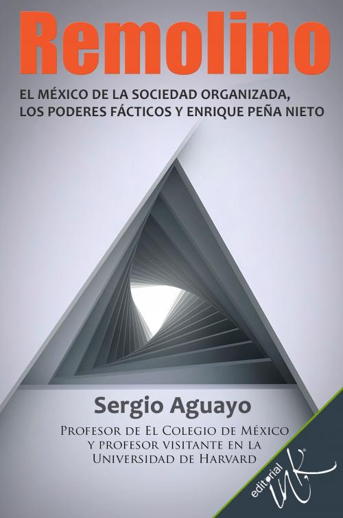 Cover of the book Remolino by Sergio Aguayo Quezada, Editorial Ink