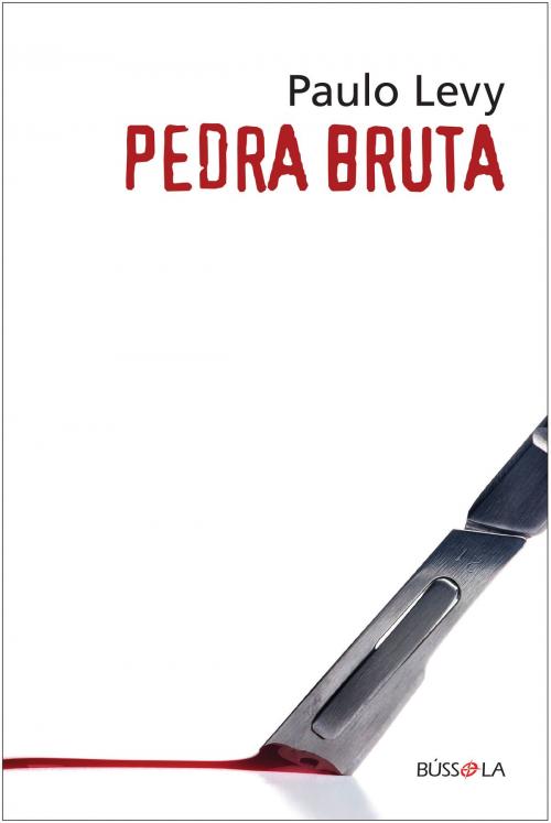 Cover of the book Pedra bruta by Paulo Levy, Bússola
