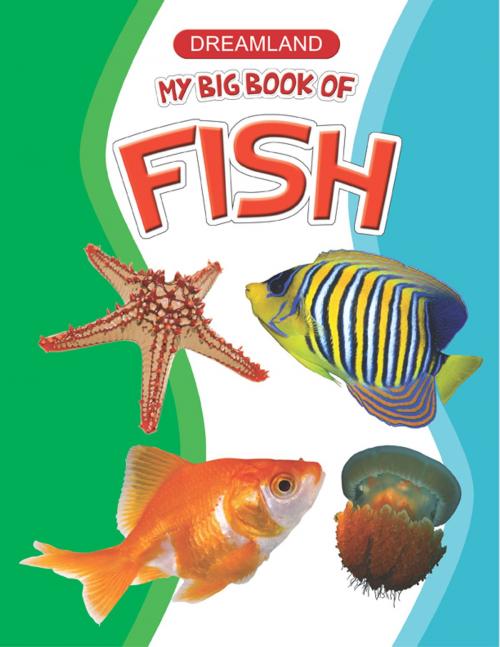 Cover of the book My Big Book of Fish by Anuj Chawla, Dreamland Publications