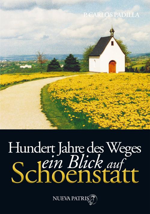 Cover of the book Hundert Jahre des Weges by Padre Carlos Padilla, Nueva Patris