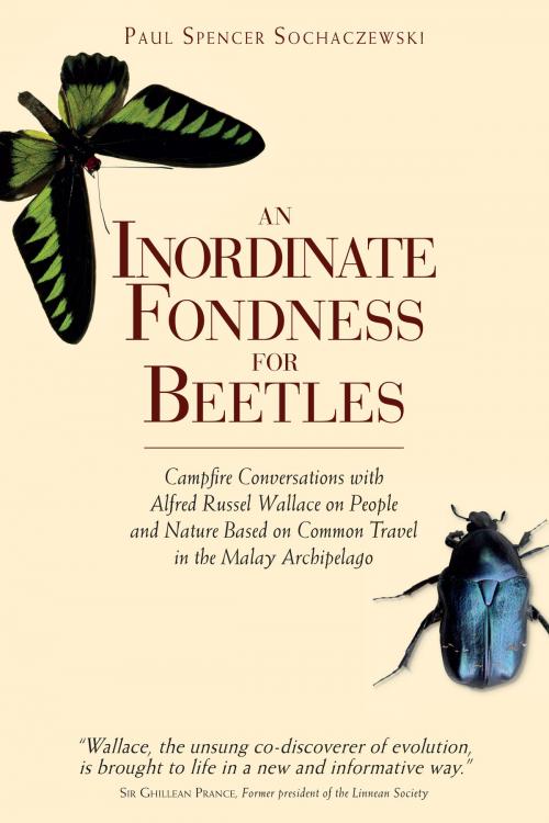 Cover of the book An Inordinate Fondness for Beetles by Paul Sochaczewski, Editions Didier Millet