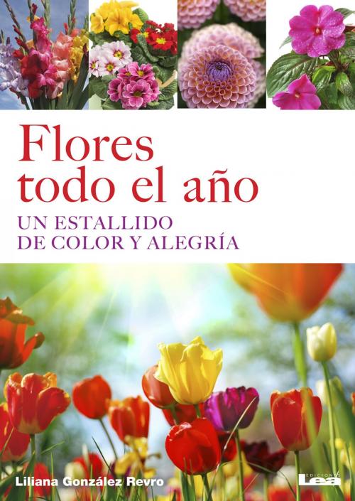 Cover of the book Flores todo el año, Un estallido de color y alegría by González Revro, Liliana, Ediciones LEA