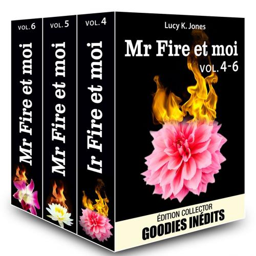Cover of the book Mr Fire et moi - vol. 4-6 by Lucy K. Jones, Editions addictives