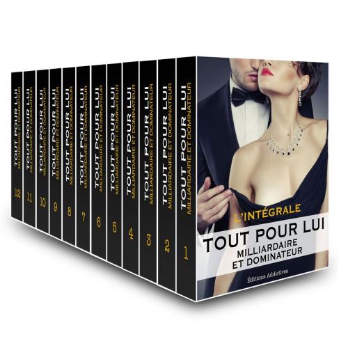 Cover of the book Tout pour lui (Milliardaire et dominateur) - l'intégrale by Megan Harold, Editions addictives