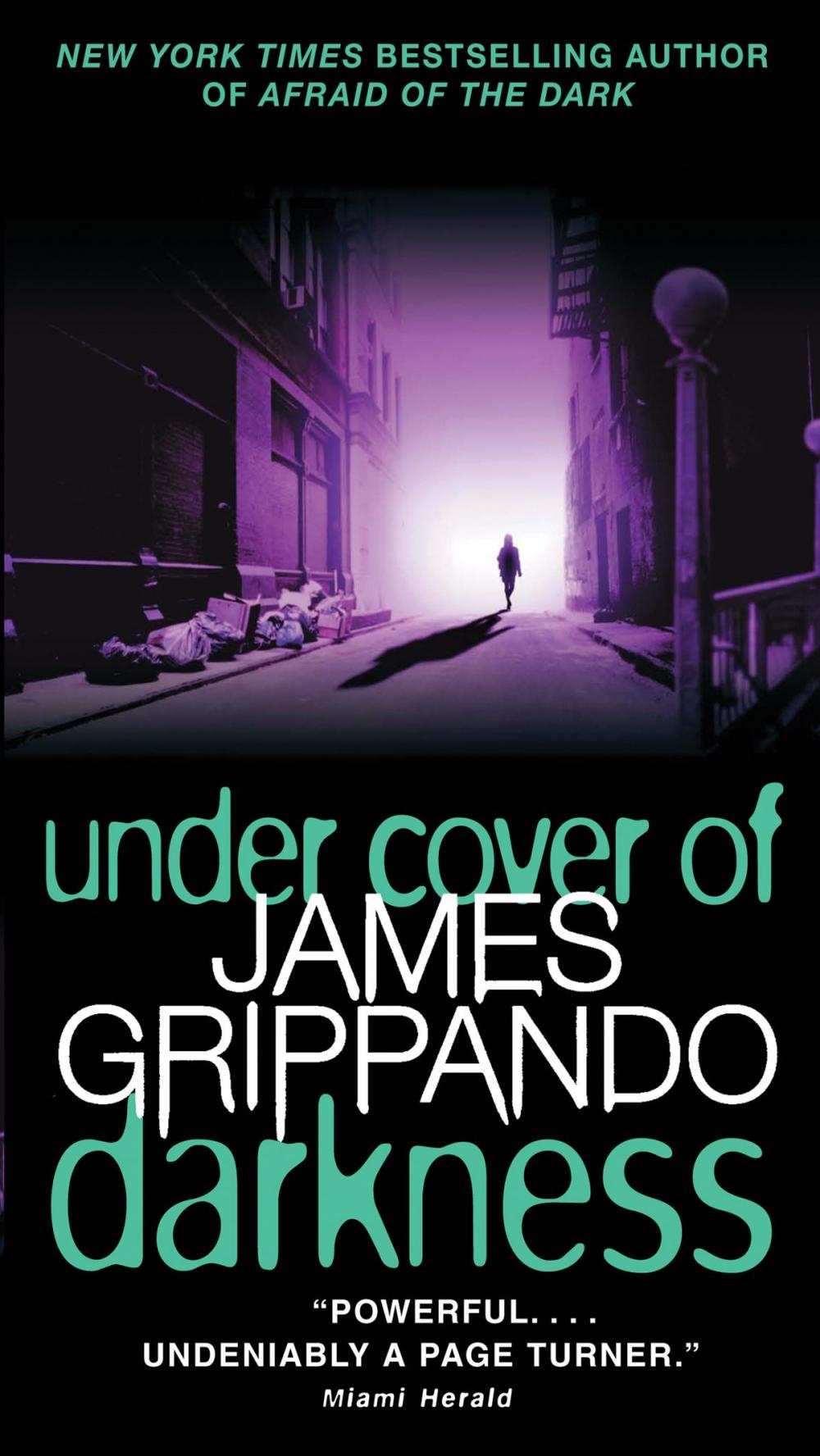 Big bigCover of Under Cover of Darkness