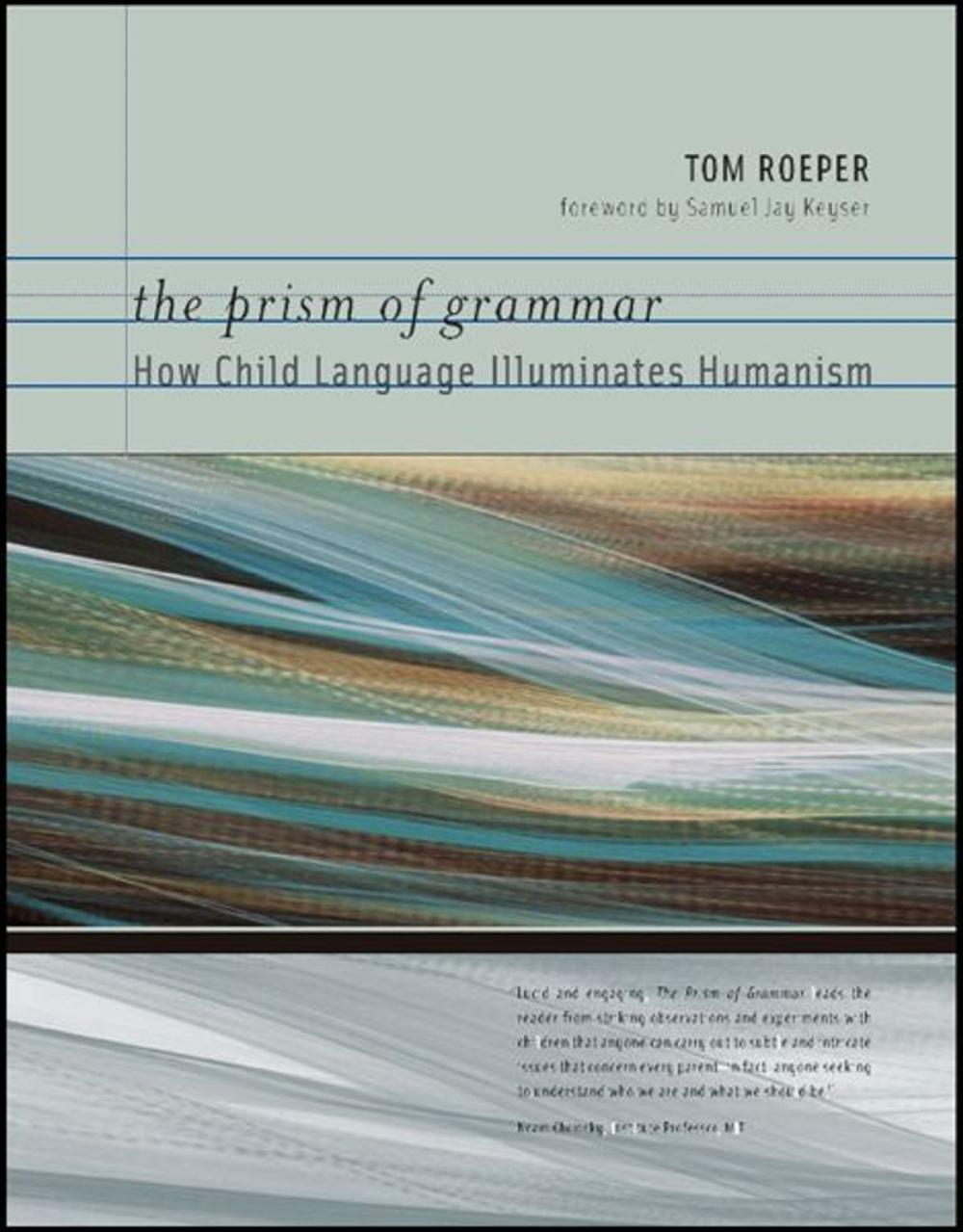 Big bigCover of The Prism of Grammar