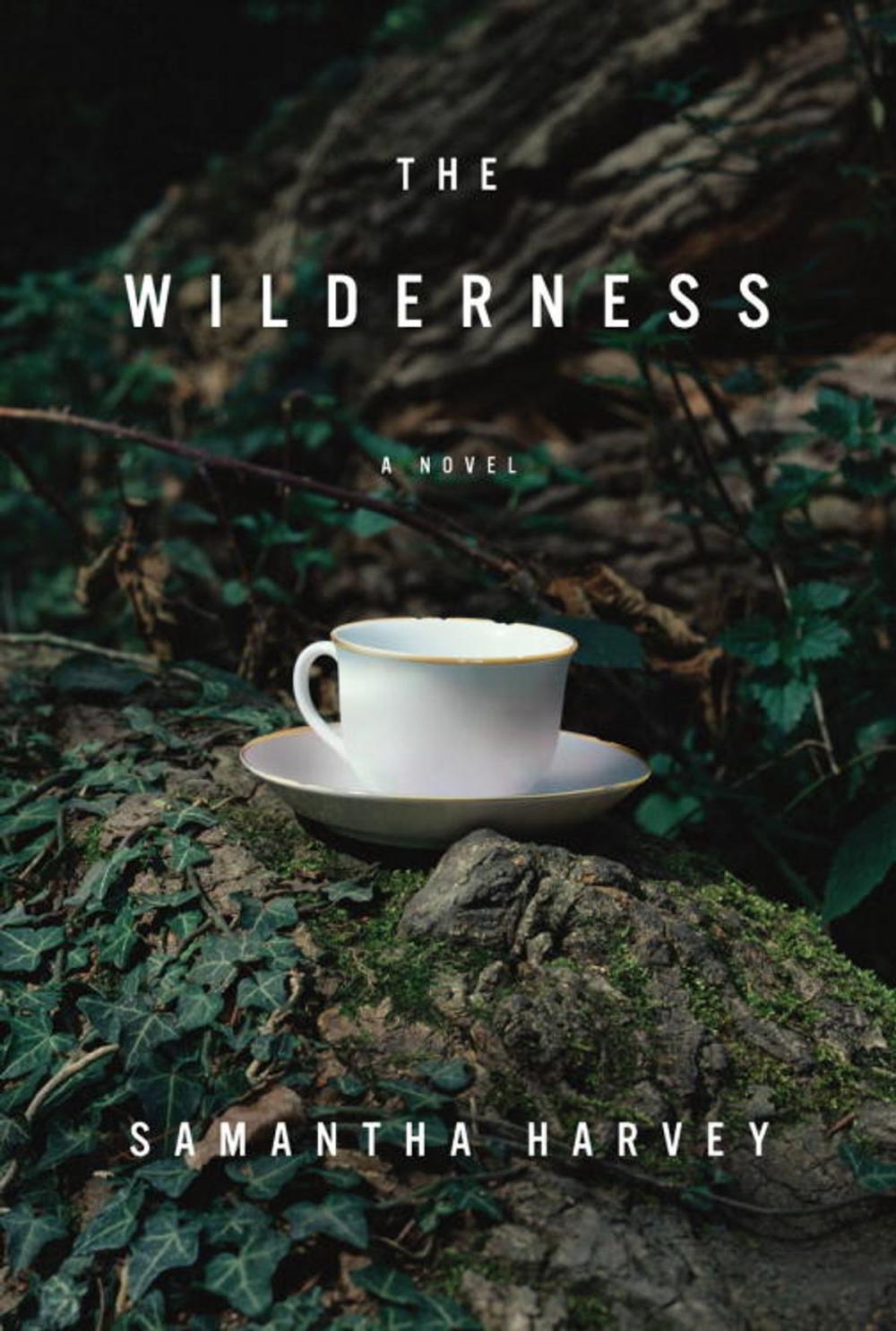 Big bigCover of The Wilderness