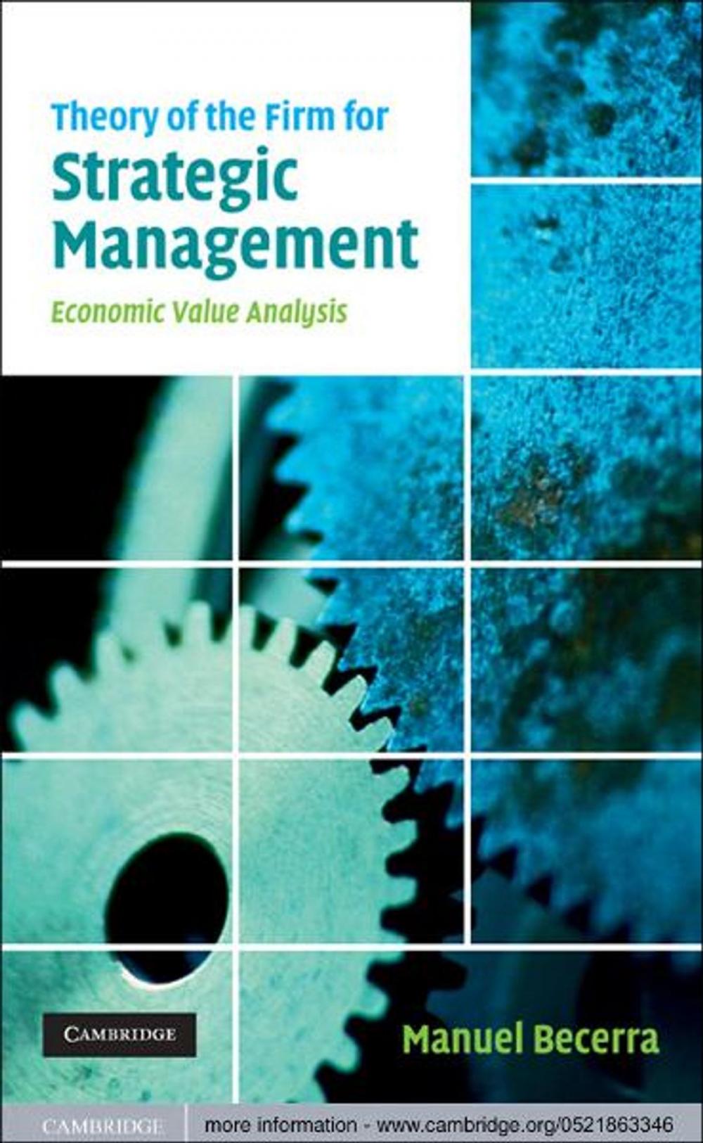 Big bigCover of Theory of the Firm for Strategic Management