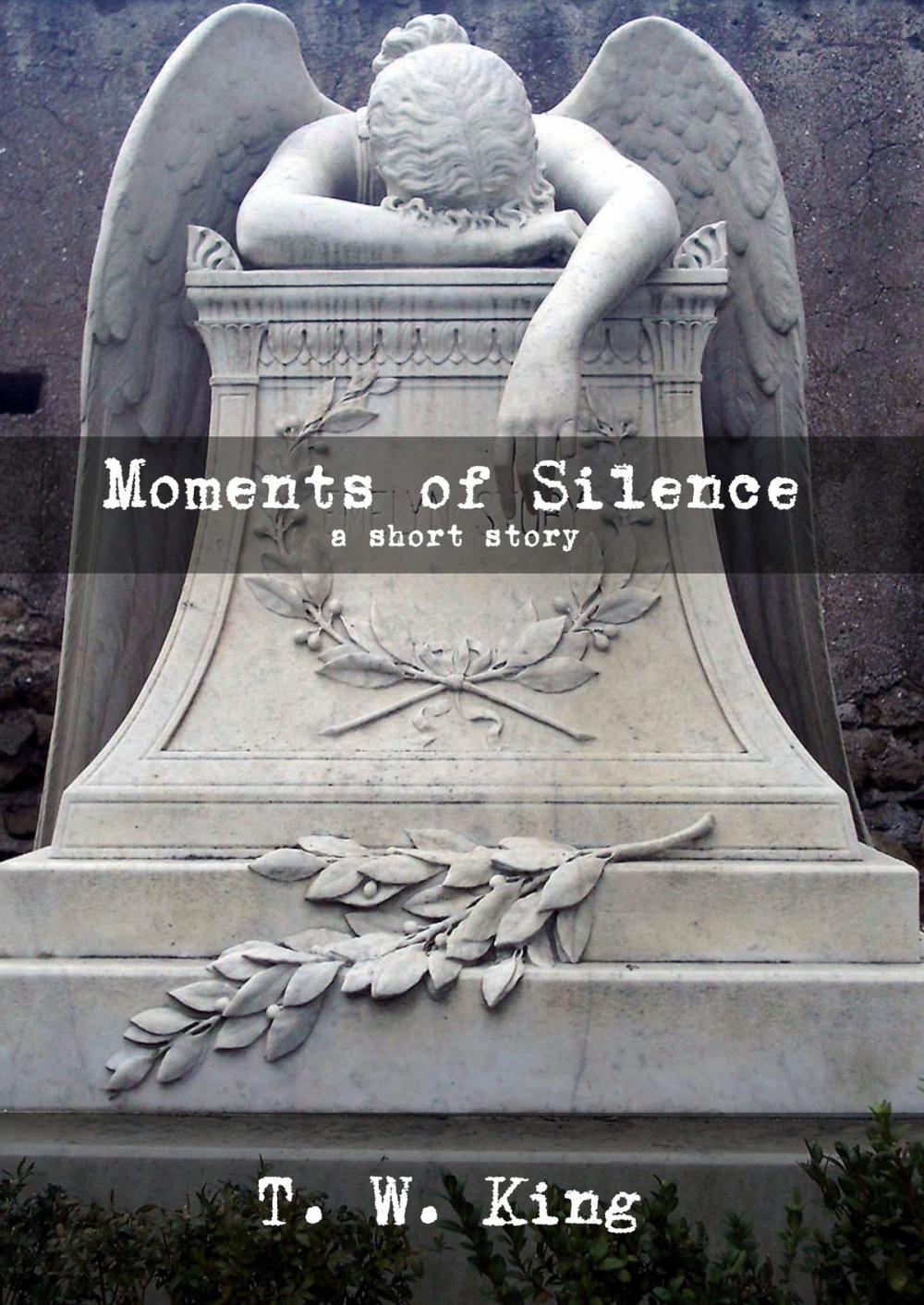 Big bigCover of Moments of Silence: A Short Story