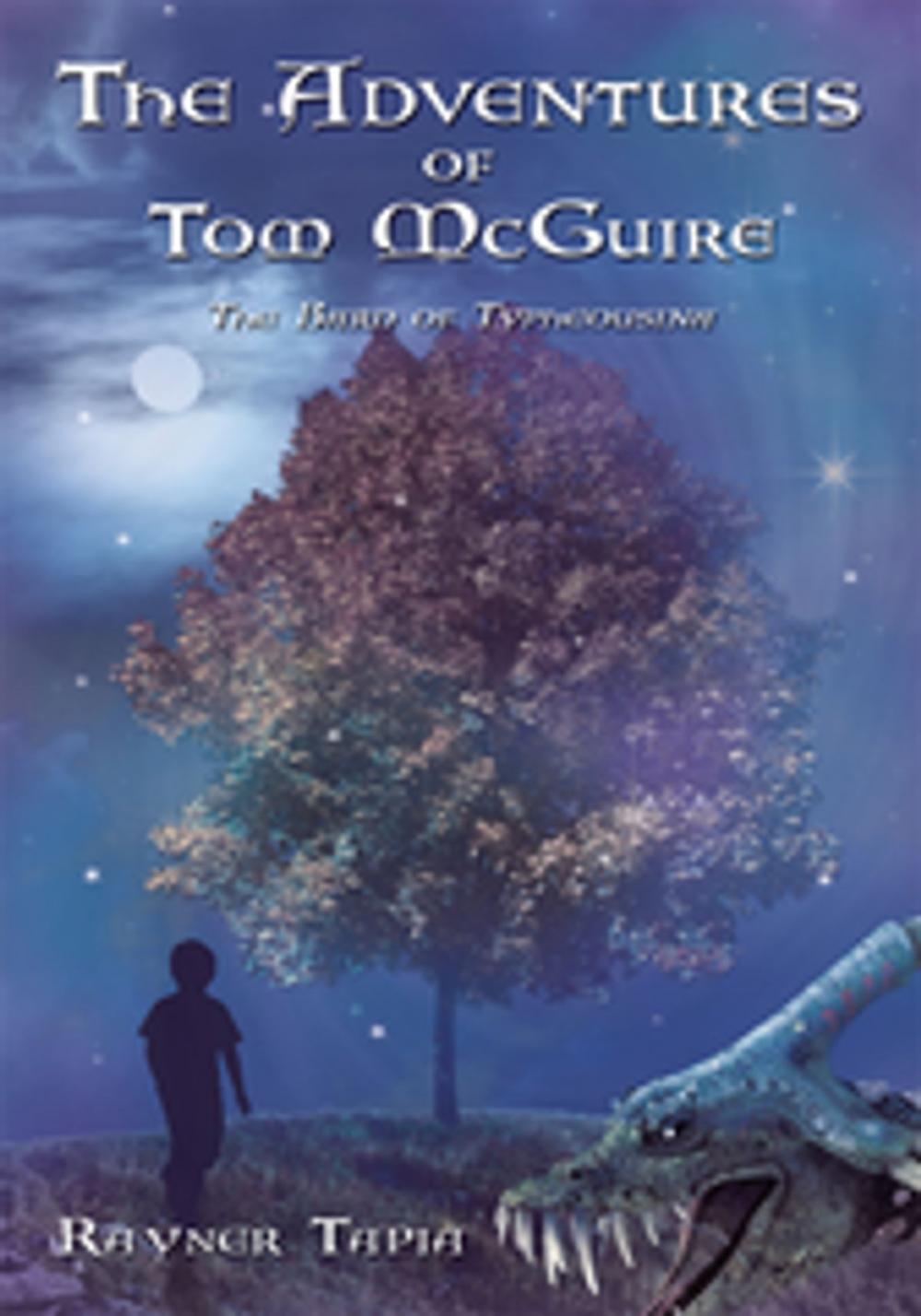 Big bigCover of The Adventures of Tom Mcguire