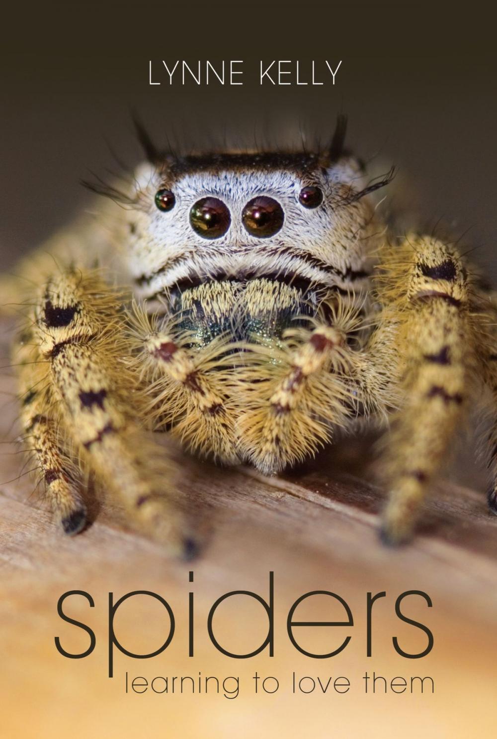 Big bigCover of Spiders