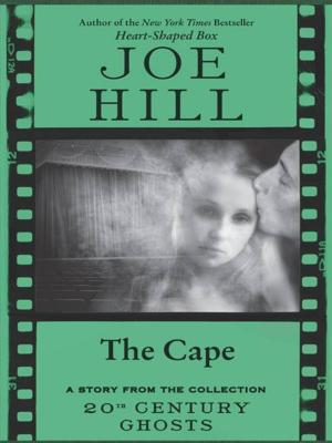 Book cover of The Cape
