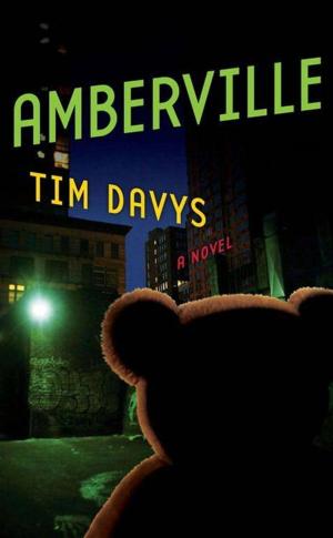 Cover of the book Amberville by Simon Van Booy