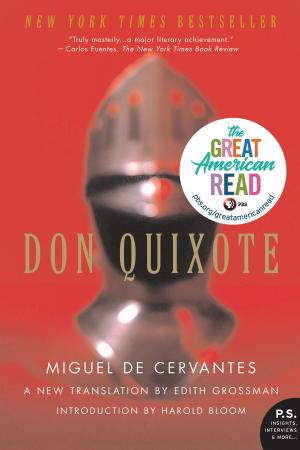 Cover of the book Don Quixote by Marjorie M. Liu