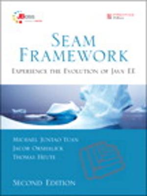 Cover of the book Seam Framework by Capers Jones, Olivier Bonsignour
