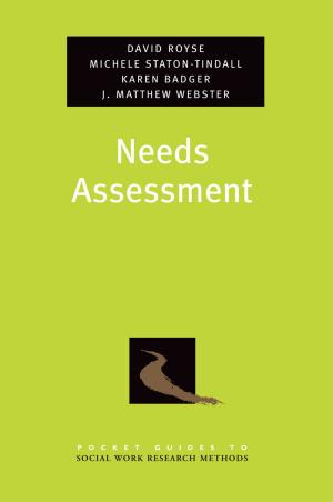 Cover of the book Needs Assessment by David Schiff
