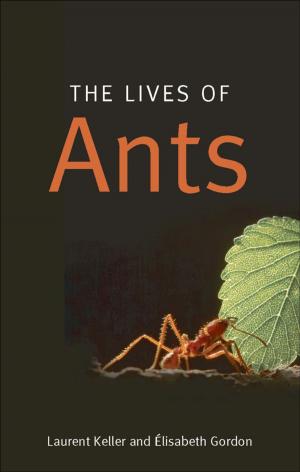 Cover of the book The Lives of Ants by Chris Cooper