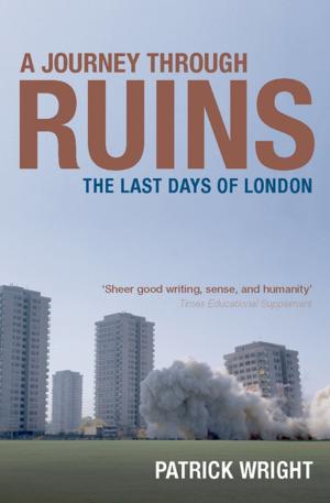 Cover of the book A Journey Through Ruins by Juhani Yli-Vakkuri, John Hawthorne