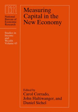 bigCover of the book Measuring Capital in the New Economy by 