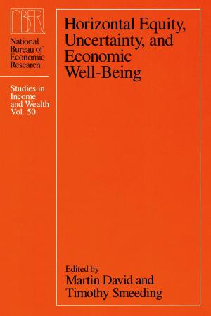 Cover of the book Horizontal Equity, Uncertainty, and Economic Well-being by Ruth O'Brien