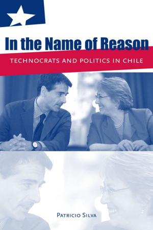 Cover of the book In the Name of Reason by Alejandra Paola Palacio Deulofeu, David Sánchez Jurado