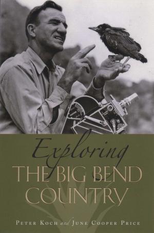 Cover of the book Exploring the Big Bend Country by David M. Welborn, Jesse Burkhead