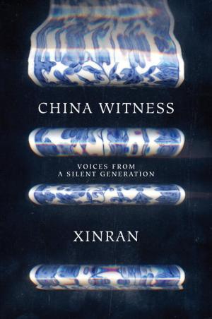 Cover of the book China Witness by Rebecca Goldstein