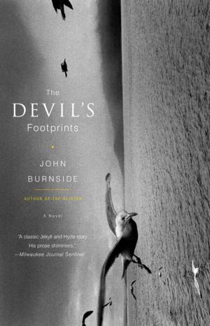 Cover of the book The Devil's Footprints by Raymond Carver