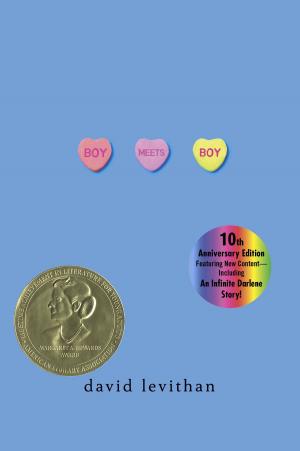 Cover of the book Boy Meets Boy by Naomi Kleinberg