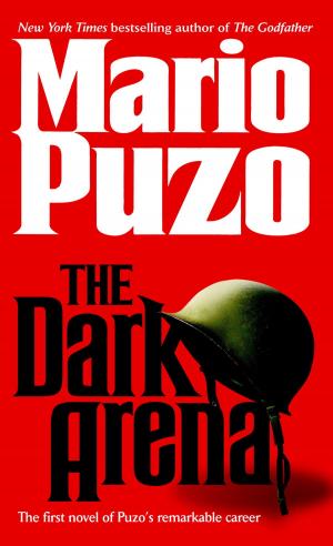 Cover of the book The Dark Arena by Peter Brazaitis