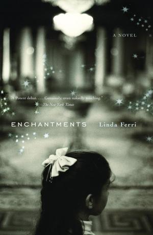 Cover of the book Enchantments by Lauren Slater