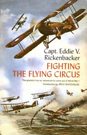 Cover of the book Fighting the Flying Circus by Peter Ackroyd